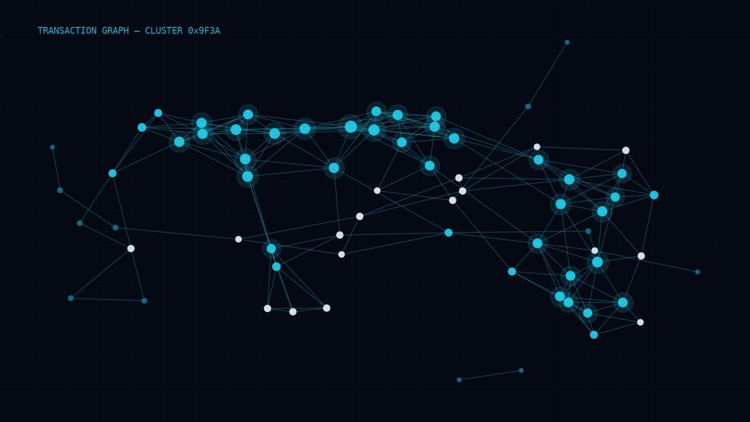 Transaction graph network
