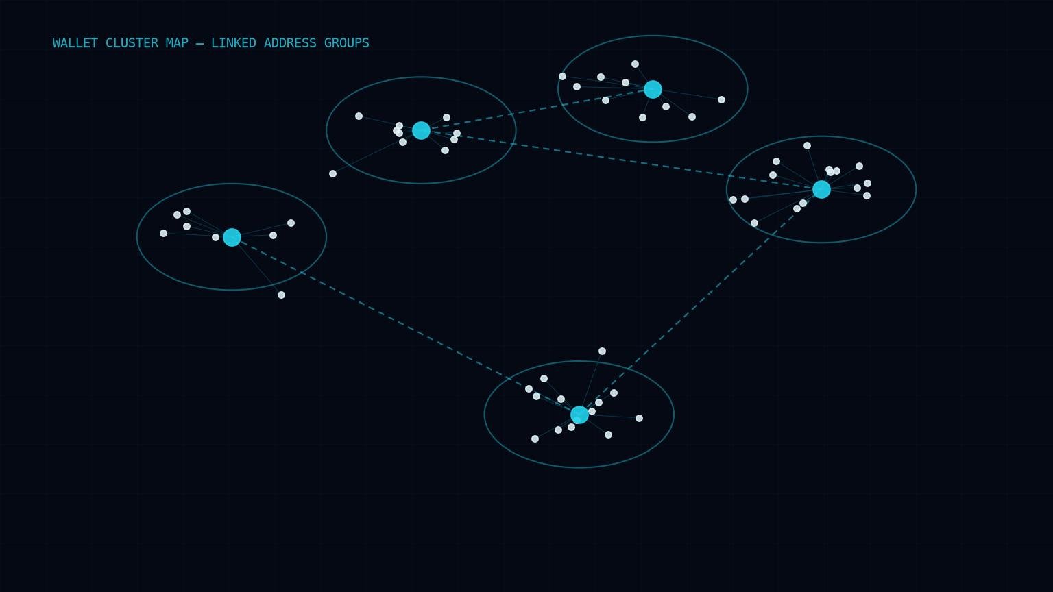 Wallet cluster map